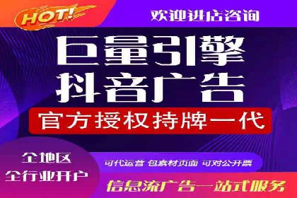 SEM托管公司案例分析：实战技巧全解析